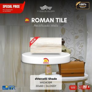 ROMAN RECTIFICADO WALL 1W63439R dVercelli Shade 30×60 [GRADE A]