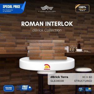 ROMAN INTERLOK 1GL638038 dBrick Terra 30×60 [GRADE A]